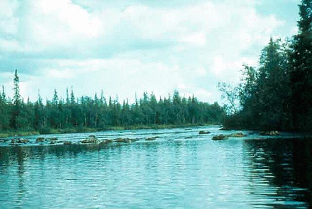 Р курга. Р курга